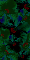 original background graphic for 'Yume Suutee (desmix)', it features hibiscus flowers with a negative filter.